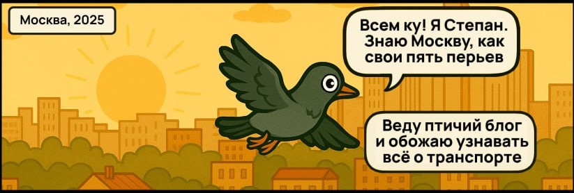 Как голубь про велосипеды рассказывал: всё о дата-комиксе студентов ВШЭ Как голубь про велосипеды рассказывал: всё о дата-комиксе студентов ВШЭ